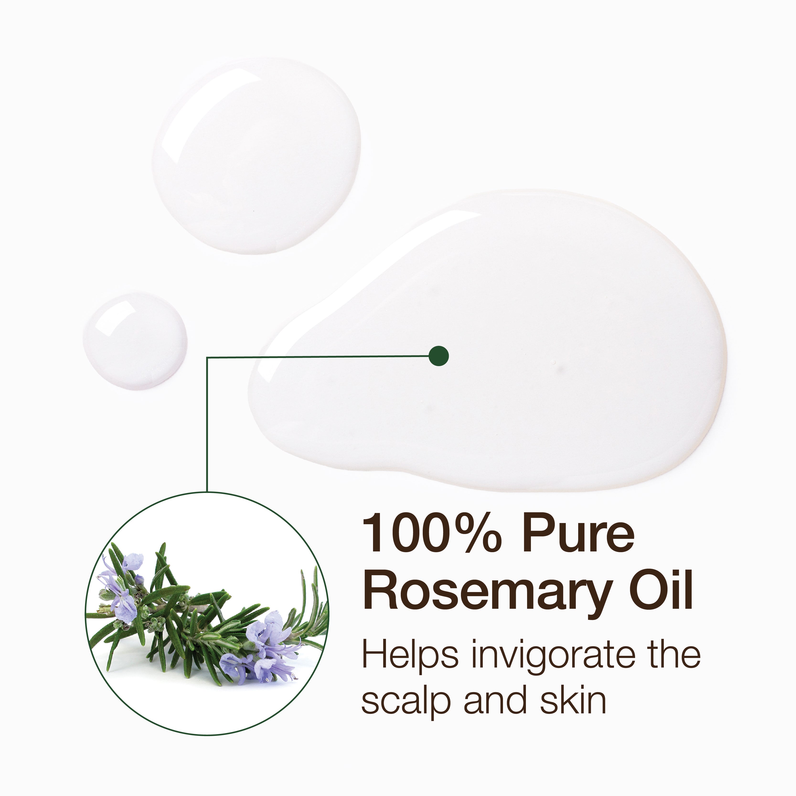 Essential Oil - Rosemary