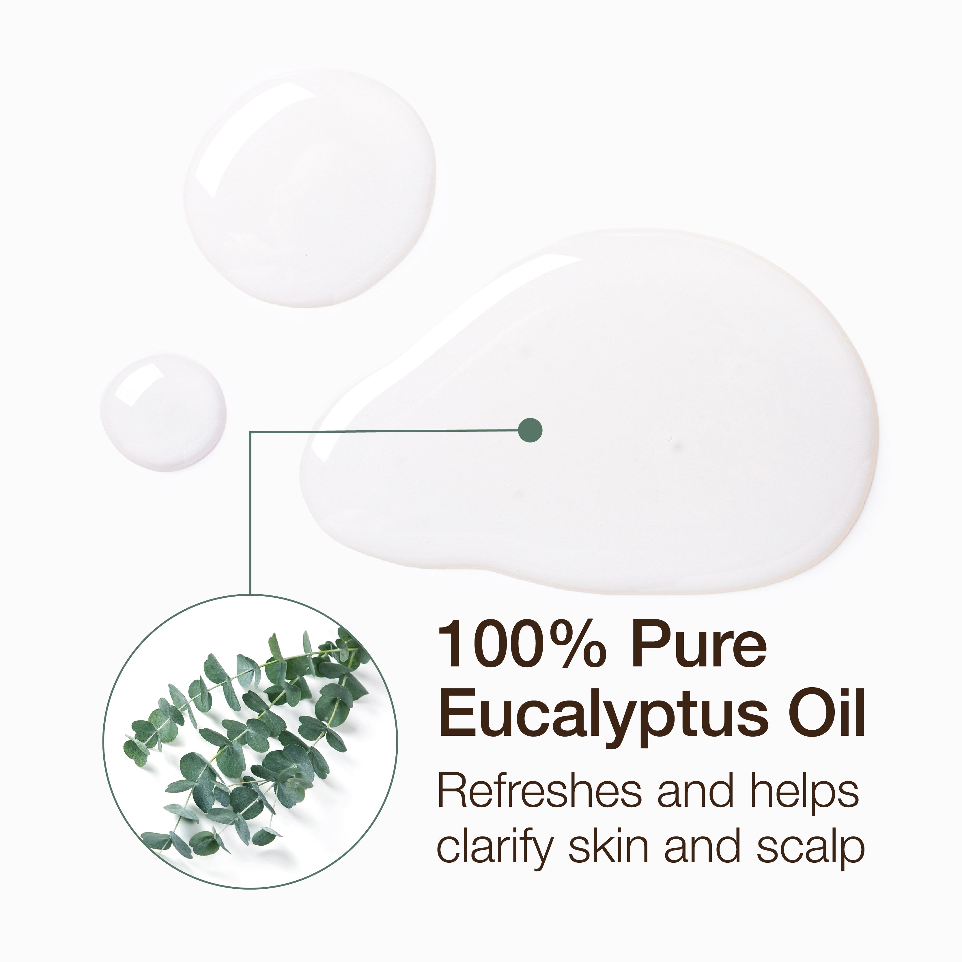 Essential Oil - Eucalyptus