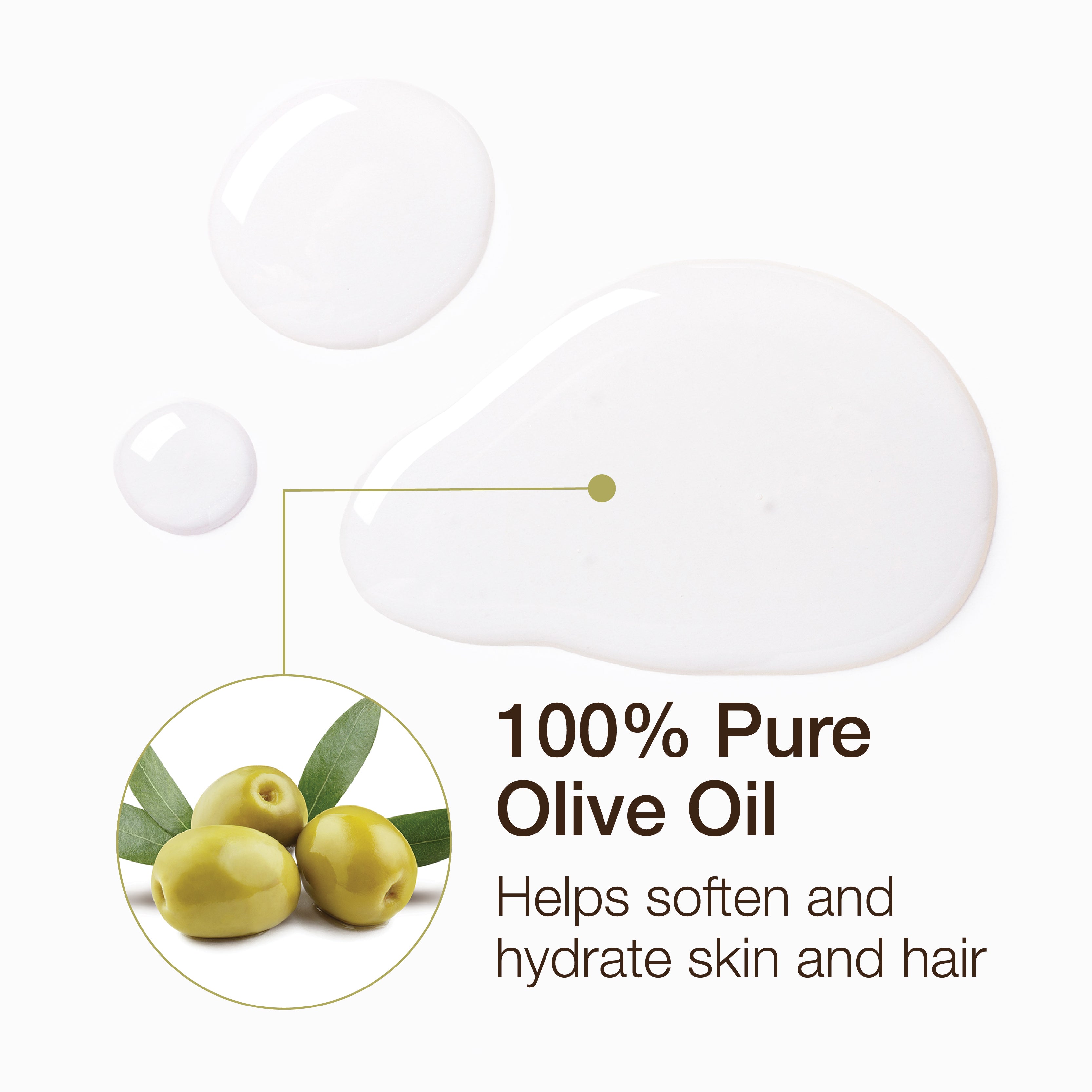 Essential Oil - Olive