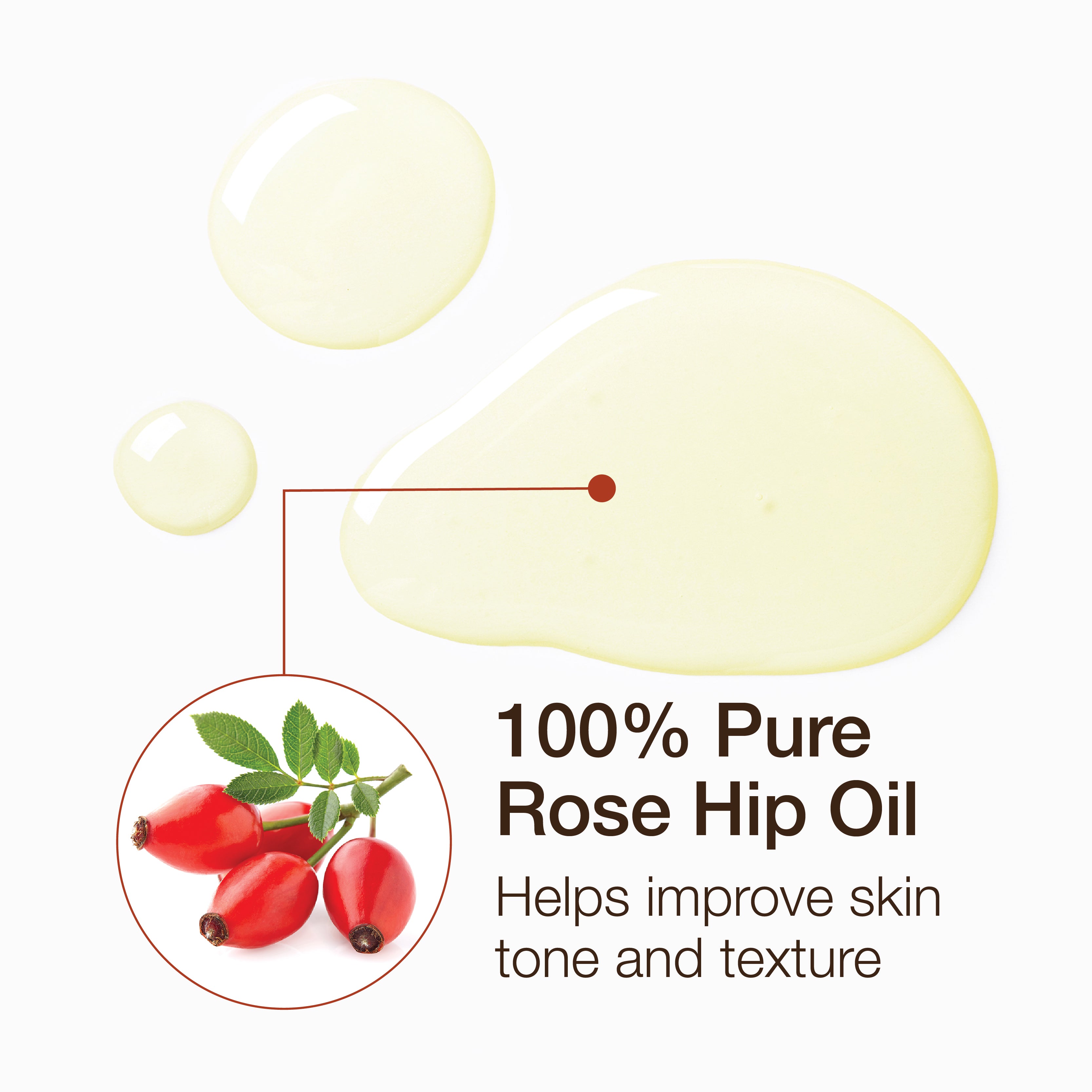 Essential Oil - Rosehip
