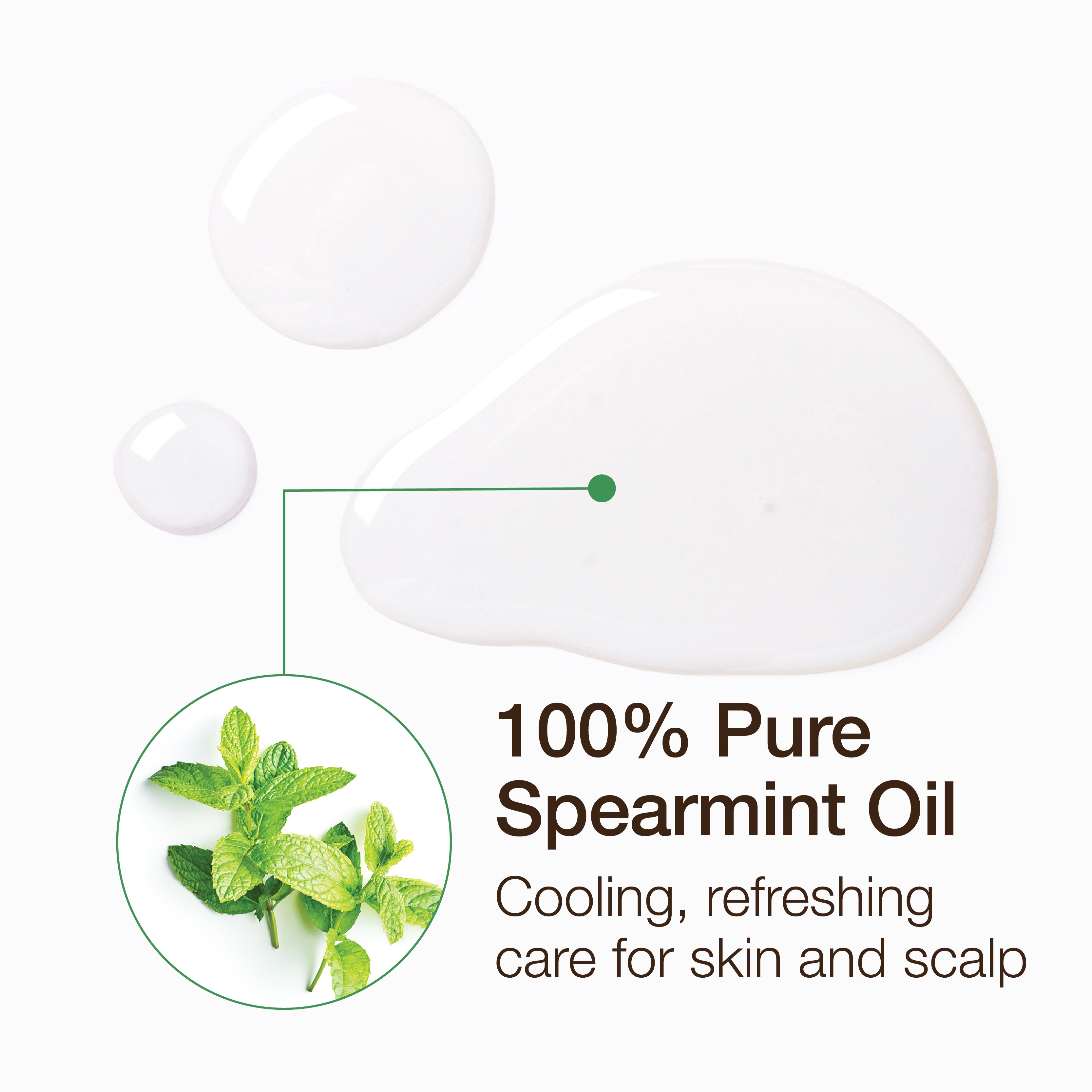 Essential Oil - Spearmint