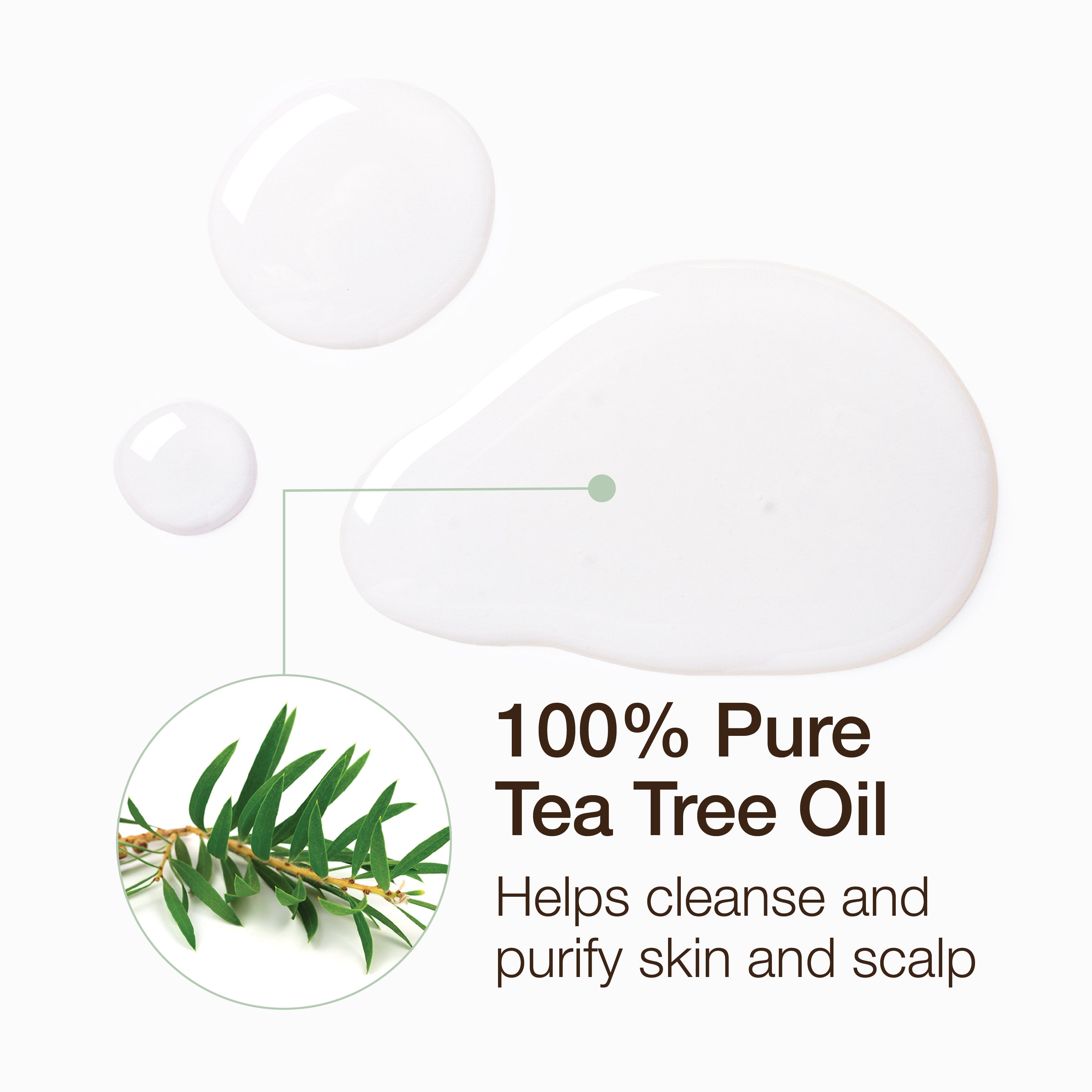 Essential Oil - Tea Tree